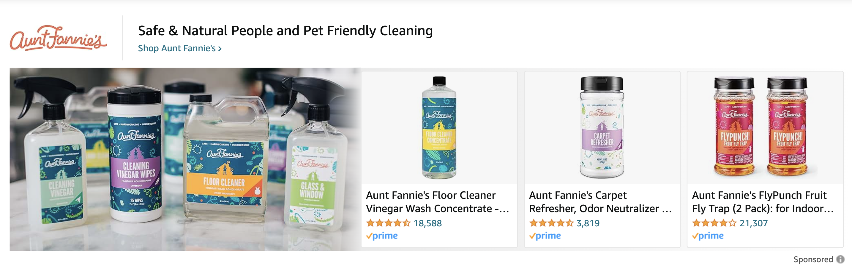 Screenshot of an Amazon ad from the brand Aunt Fannie's.